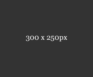 DDOS网页端